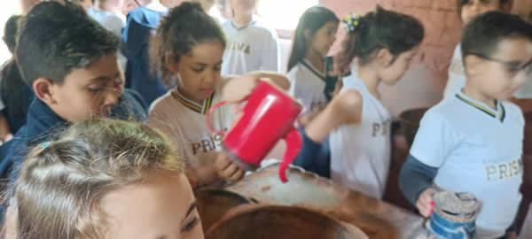 Bicho Mania 2022